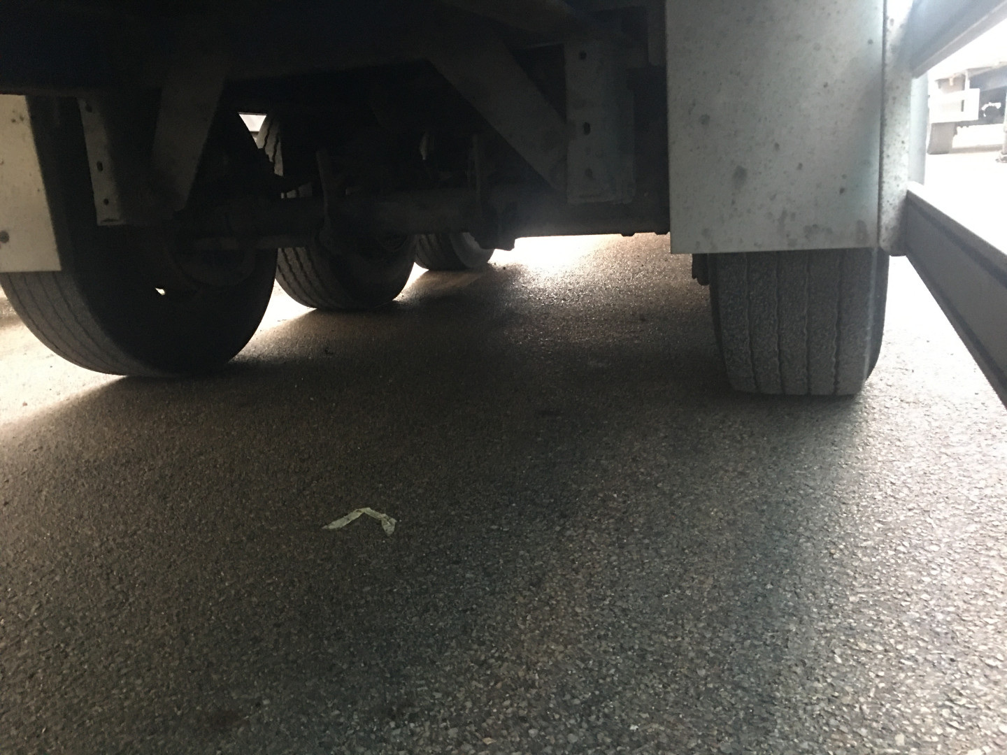 CHEREAU Fridge BOX