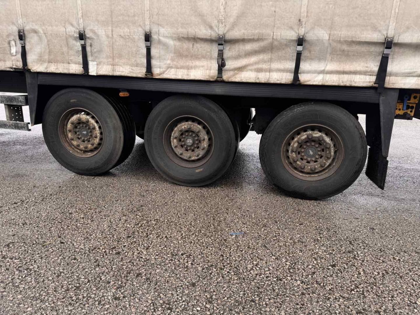 Schmitz CARGOBULL